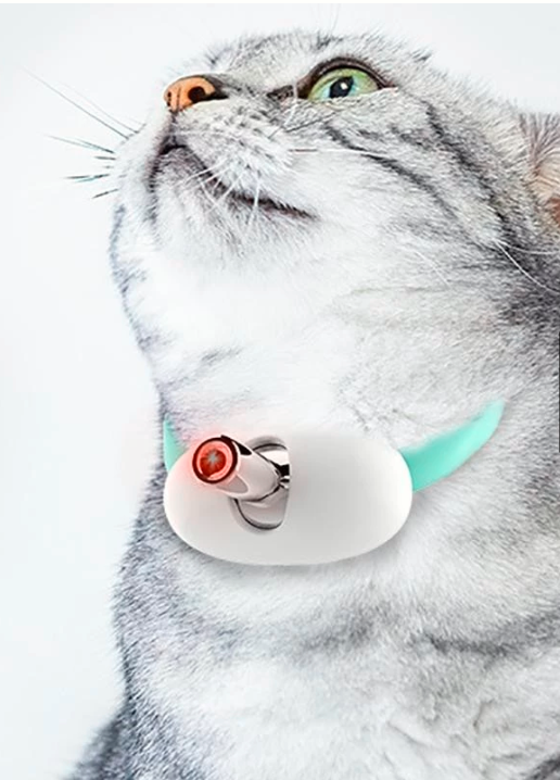 Collar con laser para gatos