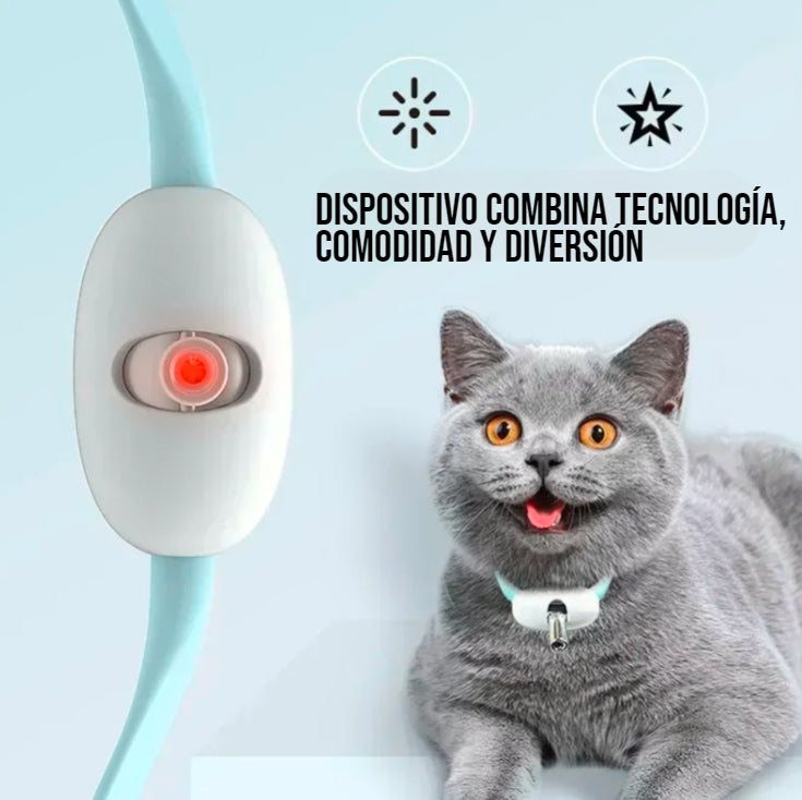 Collar con laser para gatos