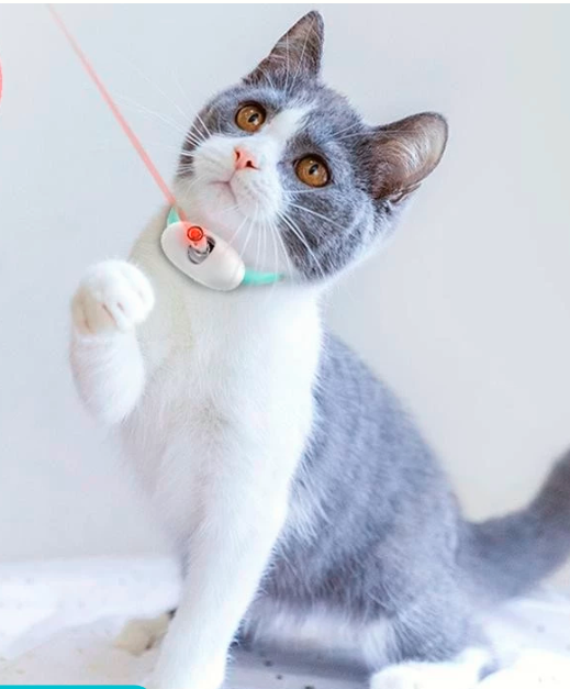 Collar con laser para gatos