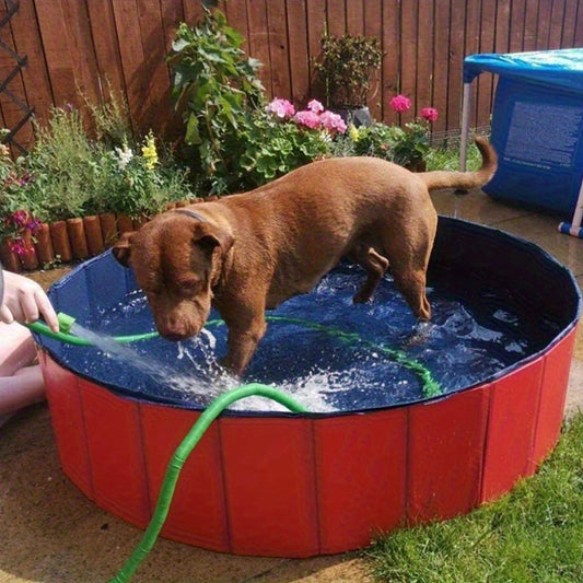 Piscina Plegable Para Mascota