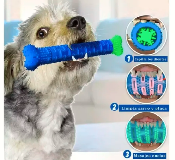 Juguete limpiador de dientes para perros